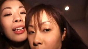 Des filles asiatiques en lingerie se font doigter et se font éjaculer dans un trio