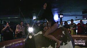 Des filles chaudes en sous-vêtements chevauchent des taureaux dans un bar local